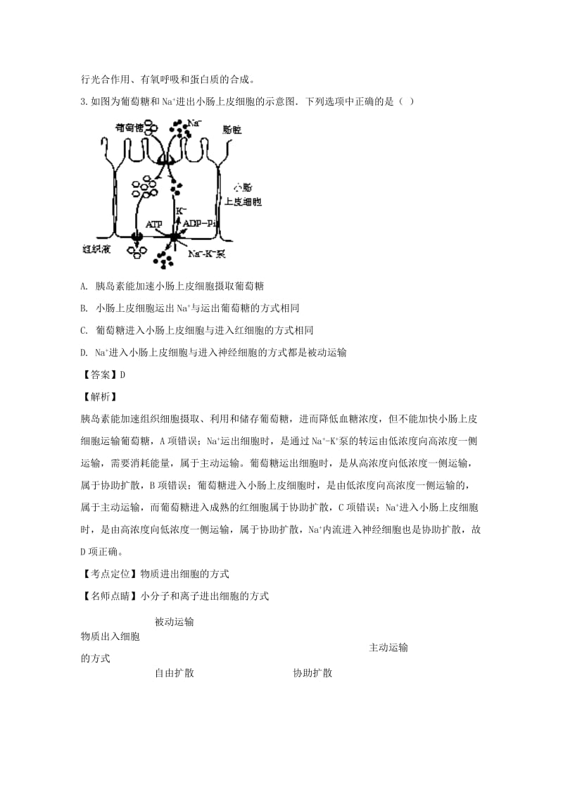 2020版高一生物下学期期末考试试卷(含解析).doc_第2页