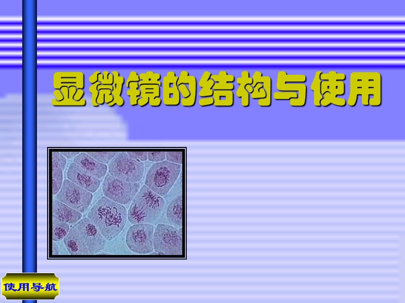 生物顯微鏡的結(jié)構(gòu)與使用.ppt_第1頁