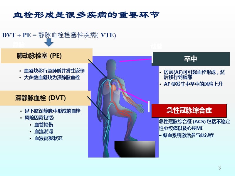 ICU抗凝药物合理应用ppt课件_第3页