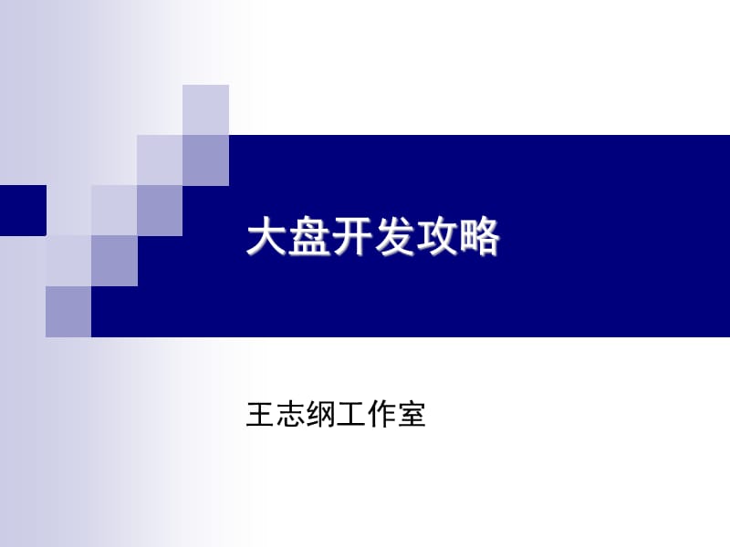 王志纲大盘开发攻略.ppt_第1页