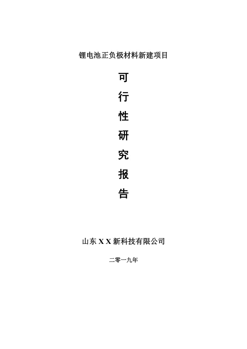 锂电池正负极材料新建项目可行性研究报告-可修改备案申请_第1页