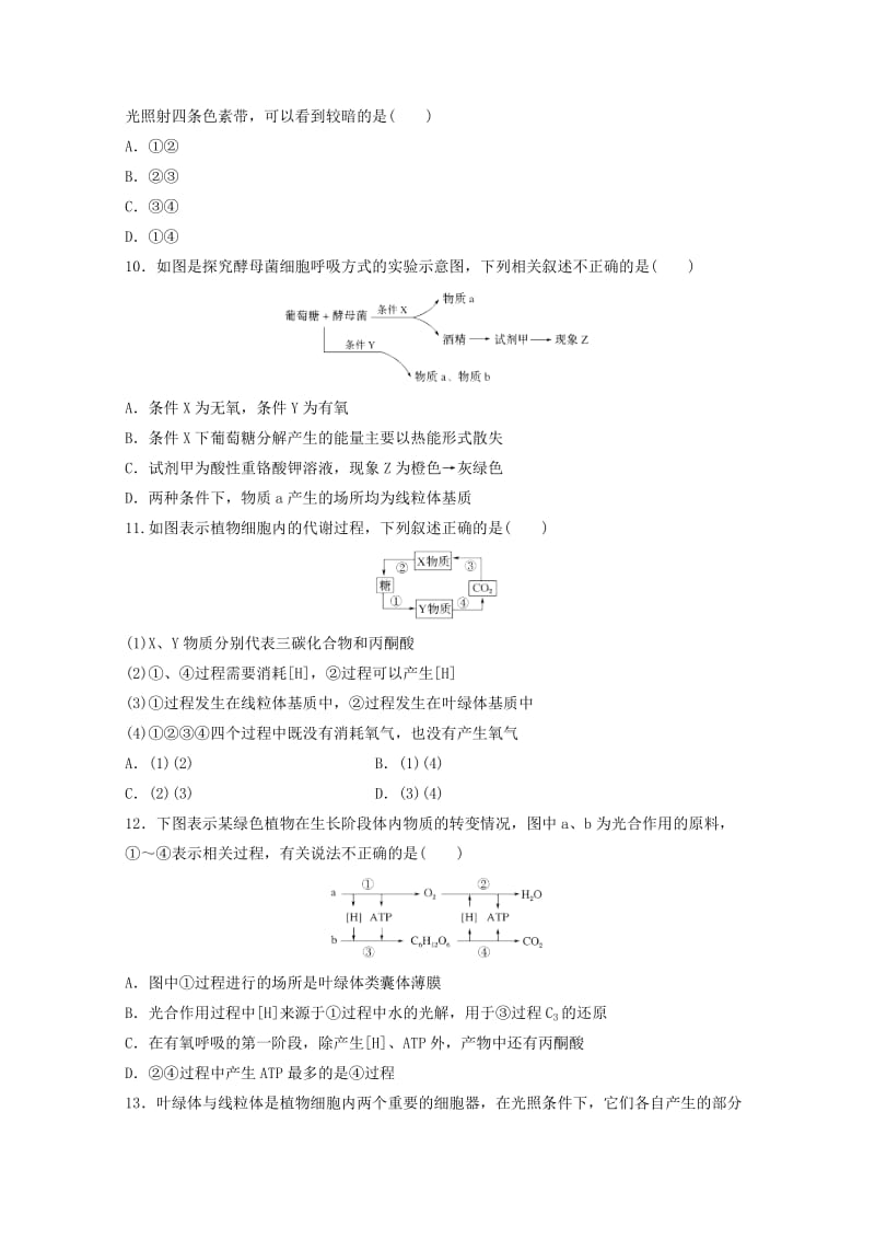 2019届高三生物上学期第二次10月月考试题.doc_第3页