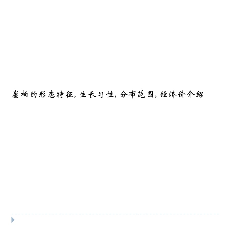 崖柏的形态特征生长习性分布范围经济价介绍.pptx_第1页