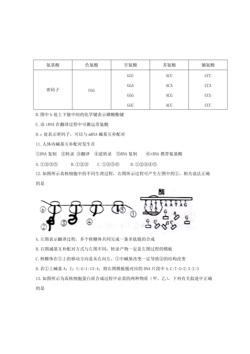 2019-2020学年高一生物下学期第三次月考试题 (IV).doc_第3页