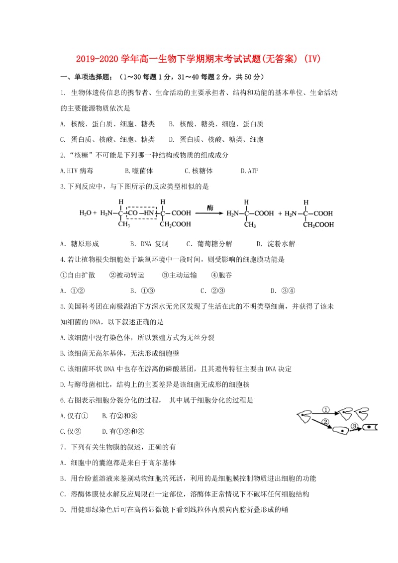 2019-2020学年高一生物下学期期末考试试题(无答案) (IV).doc_第1页