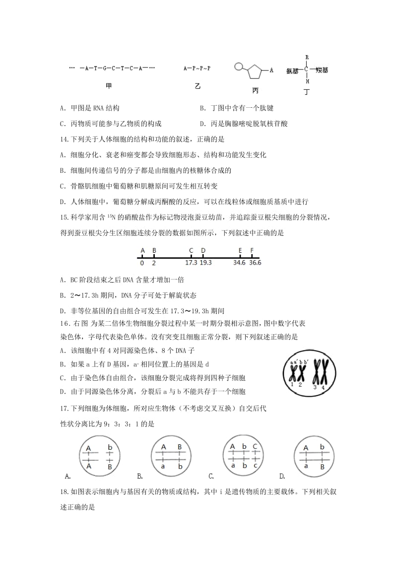 2019-2020学年高一生物下学期期末考试试题(无答案) (IV).doc_第3页