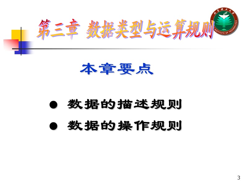 数据类型及运算规则.ppt_第3页