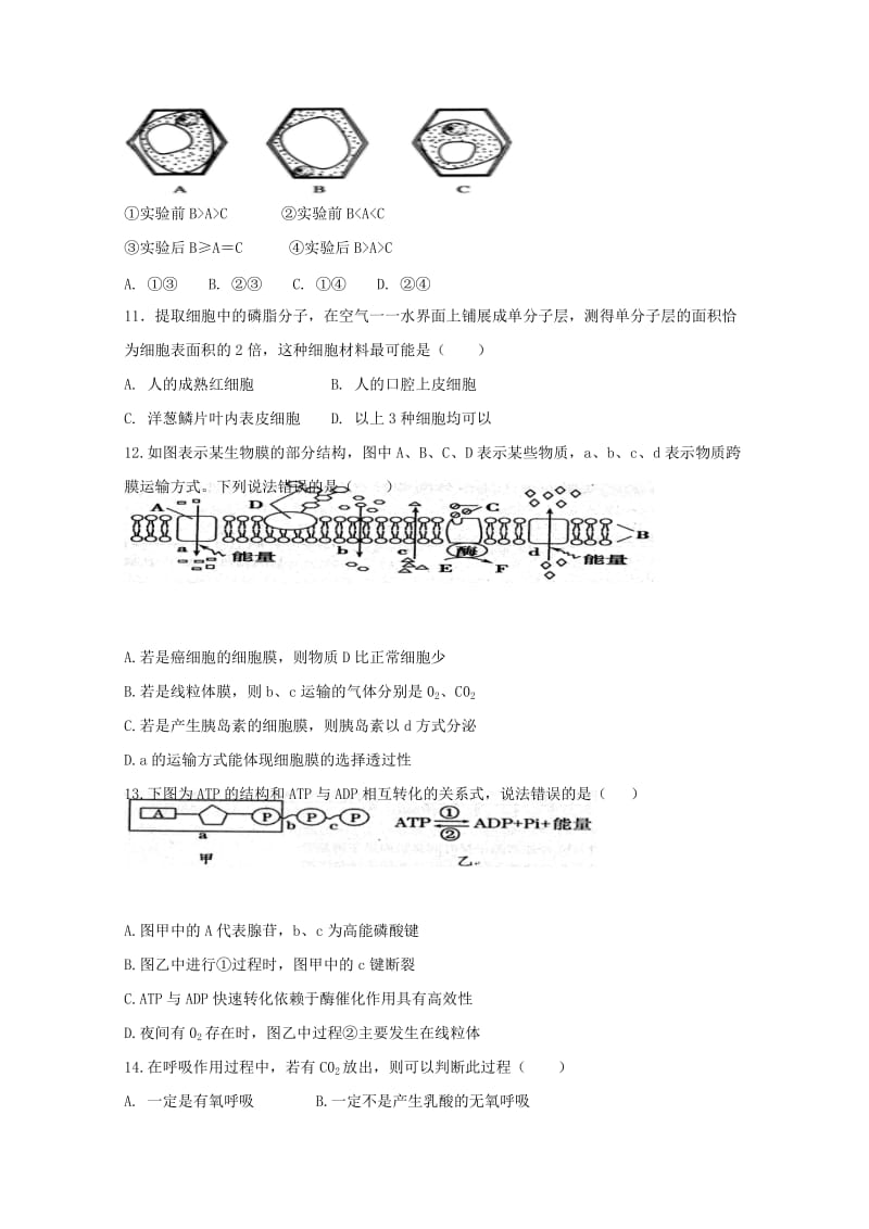 2020版高一生物上学期期末考试试题(无答案).doc_第3页