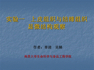 實驗一上皮組織與結(jié)締組織顯微結(jié)構(gòu)觀察.ppt