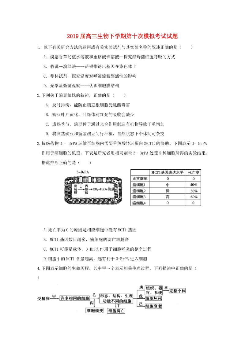 2019届高三生物下学期第十次模拟考试试题.doc_第1页