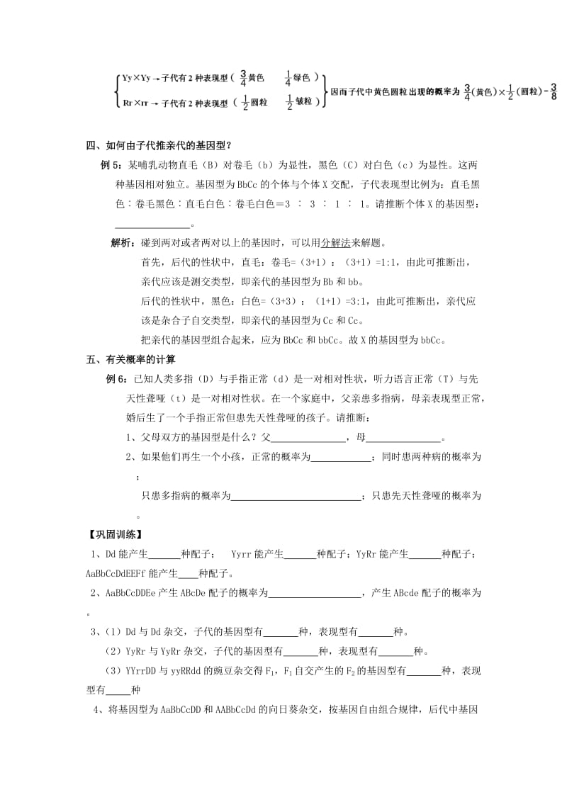 2019版高中生物第1章遗传因子的发现第2节孟德尔的豌豆杂交实验二3导学案新人教版必修2 .doc_第2页