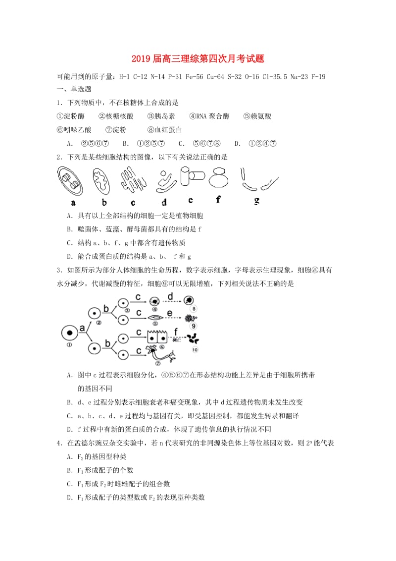 2019届高三理综第四次月考试题.doc_第1页