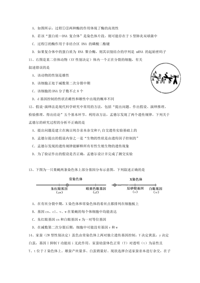 2019届高三生物第四次模拟试题.doc_第3页