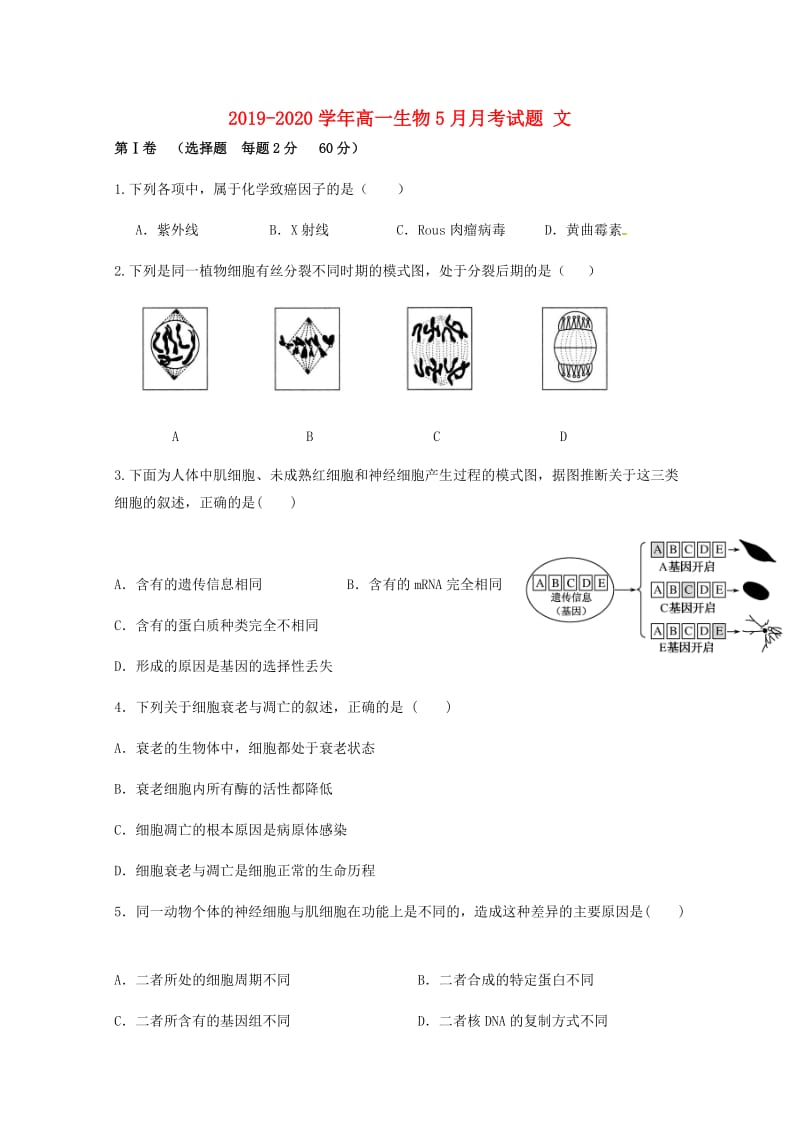 2019-2020学年高一生物5月月考试题 文.doc_第1页