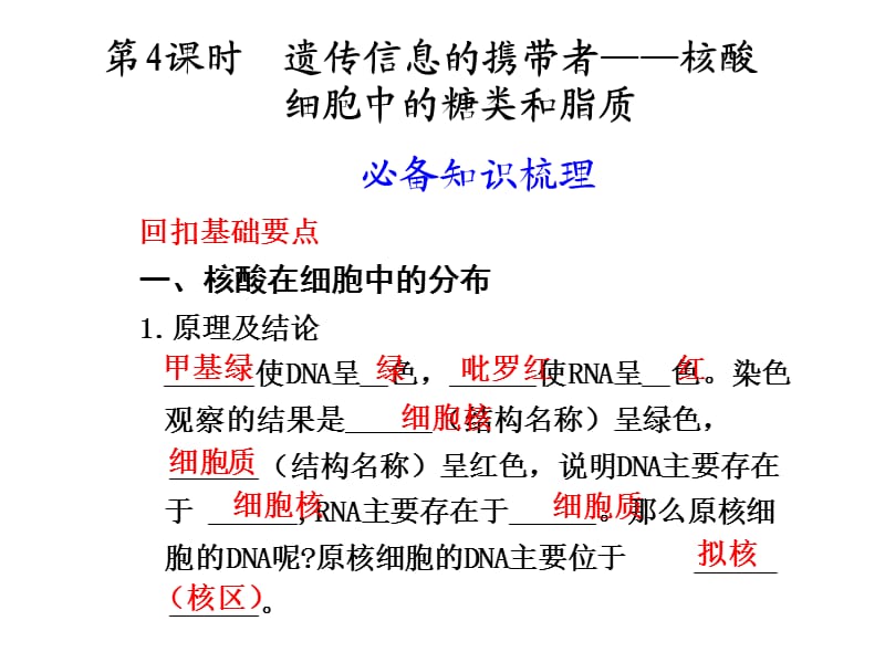 遺傳信息的攜帶者-核酸細(xì)胞中的糖類和脂質(zhì).ppt_第1頁