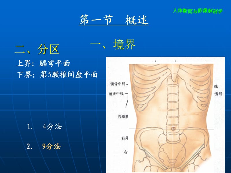 腹部断层影像解剖学ppt课件_第3页