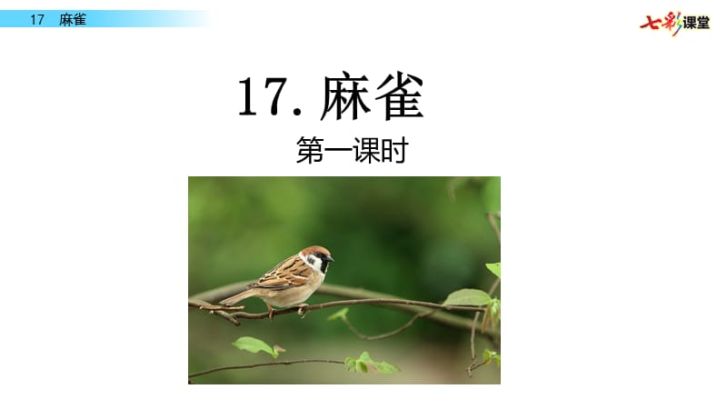 部编四年级上17 麻雀PPT课件_第1页