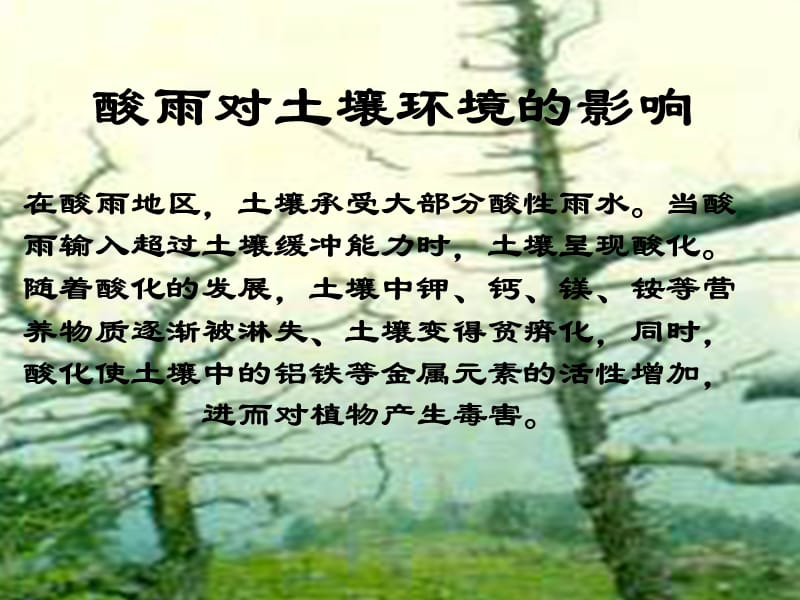 酸雨对土壤环境的影响.ppt_第1页