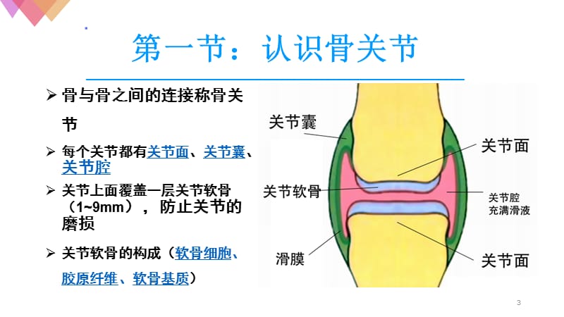 风湿骨病及联合用药ppt课件_第3页