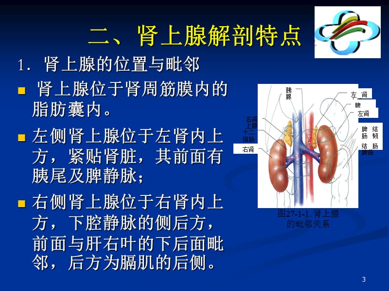 腹腔镜肾上腺切除术ppt课件_第3页