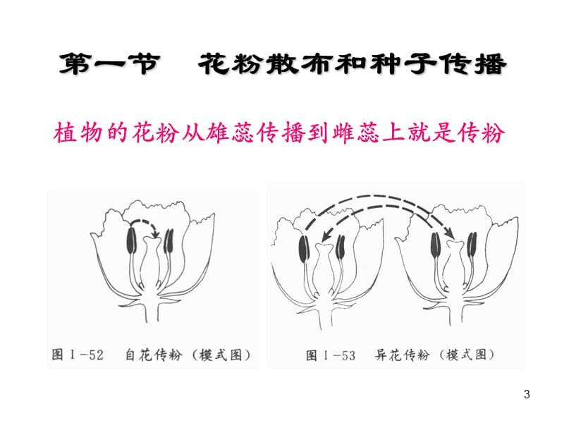 分子生态学植物的行为生态学ppt课件_第3页