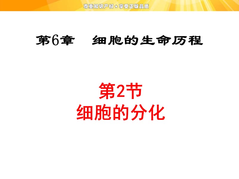 細胞的分化、衰老和凋亡及癌變.ppt_第1頁