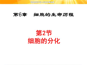 細(xì)胞的分化、衰老和凋亡及癌變.ppt