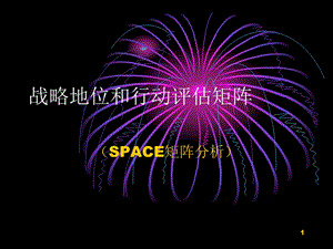 SPACE矩陣分析ppt課件