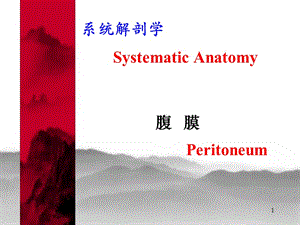 腹膜系统解剖学ppt课件
