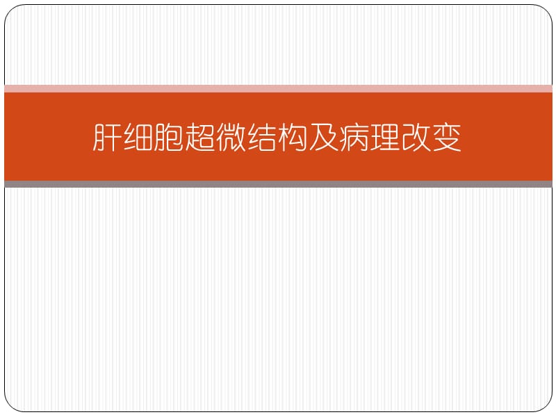 肝細胞超微結(jié)構(gòu)及病理改變.pptx_第1頁