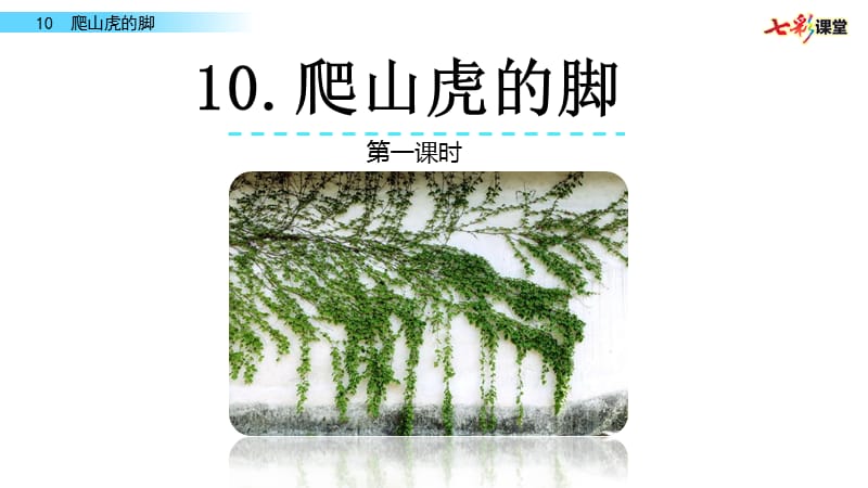 部编四年级上10 爬山虎的脚PPT课件_第1页