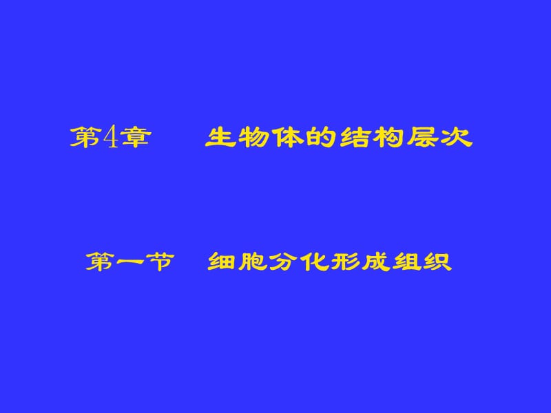 細(xì)胞的分化形成組織.ppt_第1頁