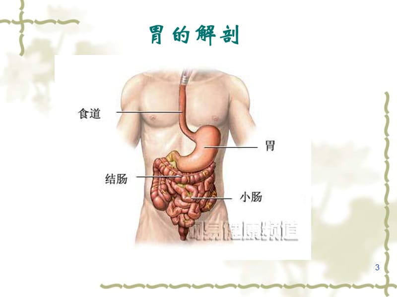 腹腔镜胃癌根治术介绍ppt课件_第3页