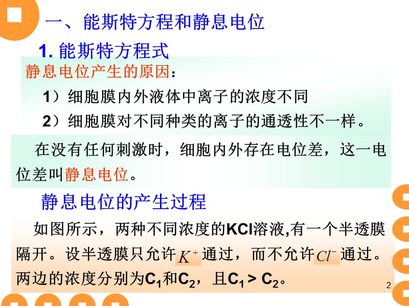 生物膜电位ppt课件_第2页