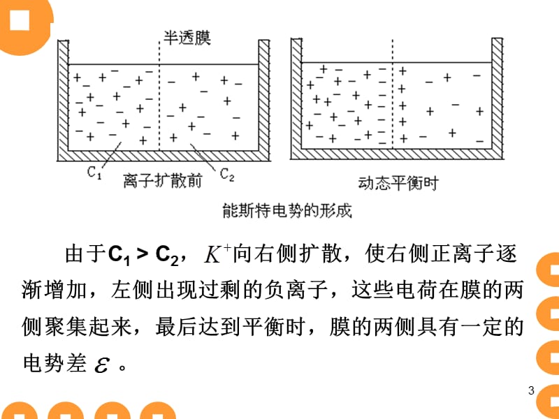 生物膜电位ppt课件_第3页