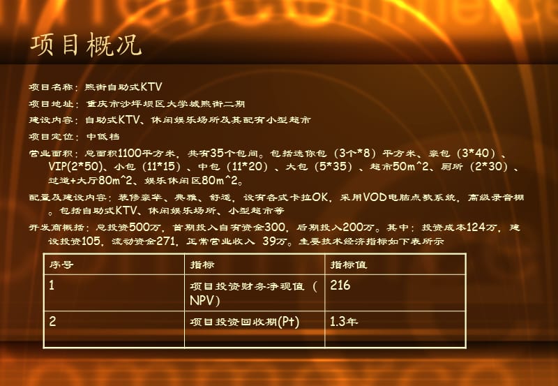 虎溪大学城KTV可研报告.ppt_第2页