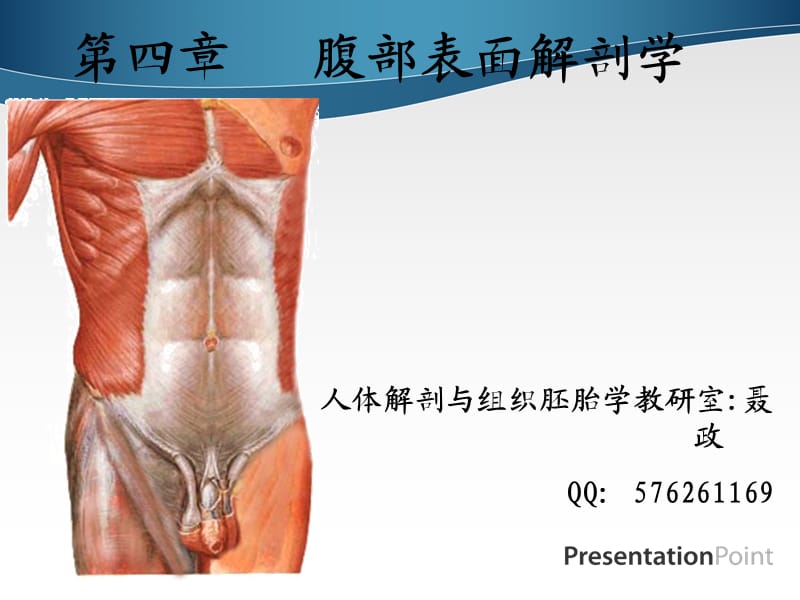 腹部表面解剖ppt课件_第1页