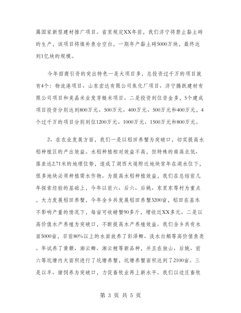 乡镇党委年度述职报告.doc_第3页