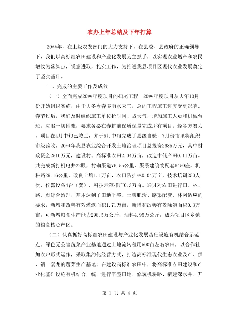 农办上年总结及下年打算.doc_第1页