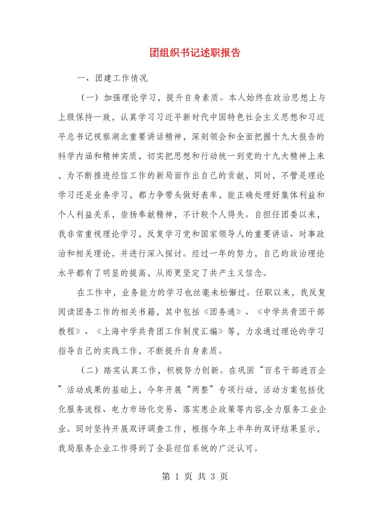 团组织书记述职报告.doc_第1页