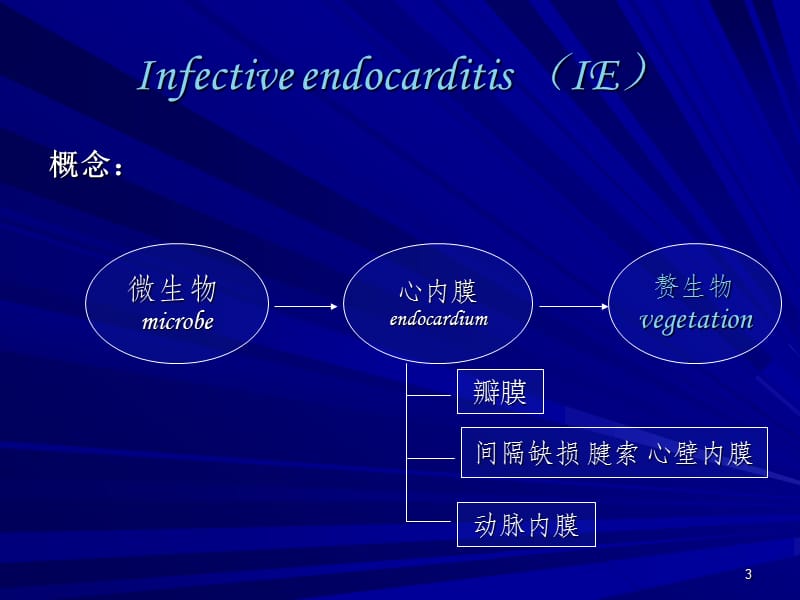 感染性心内膜炎标准ppt课件_第3页