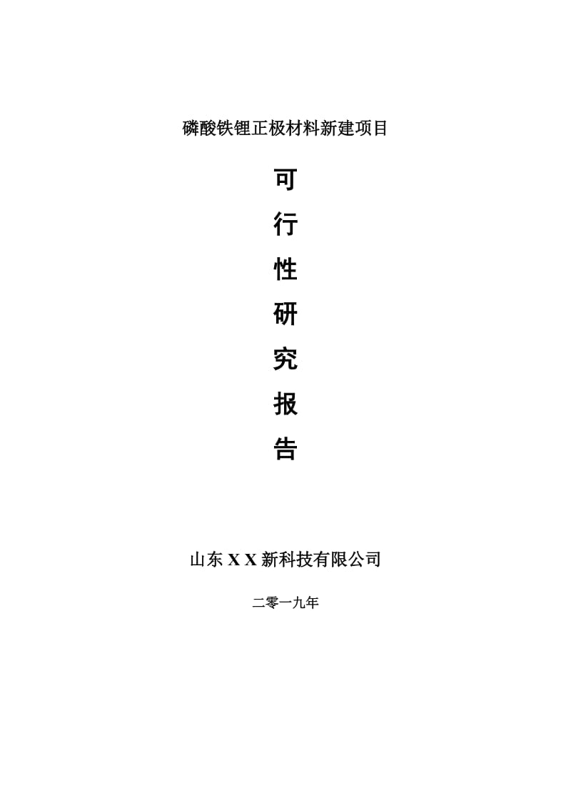 磷酸铁锂正极材料新建项目可行性研究报告-可修改备案申请_第1页