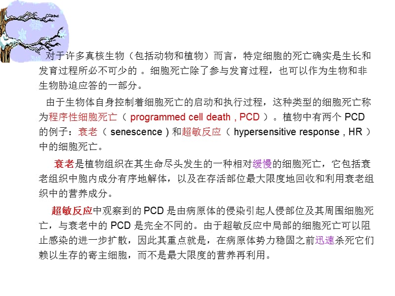 植物细胞衰老与程序性死亡ppt课件_第2页