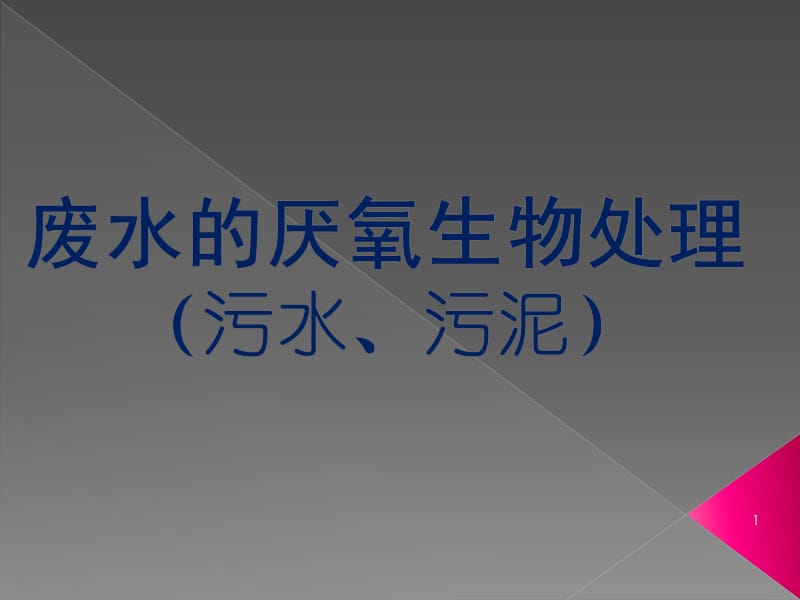 废水的厌氧生物处理污水污泥ppt课件_第1页