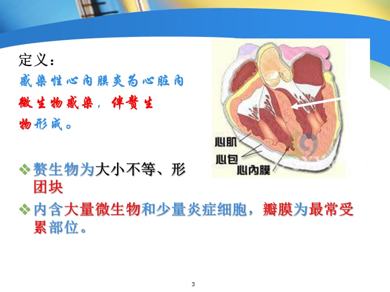 感染性心内膜炎护理ppt课件_第3页