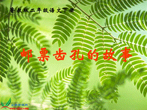 魯教版語(yǔ)文二年級(jí)下冊(cè)《郵票齒孔的故事》PPT課件之一.ppt