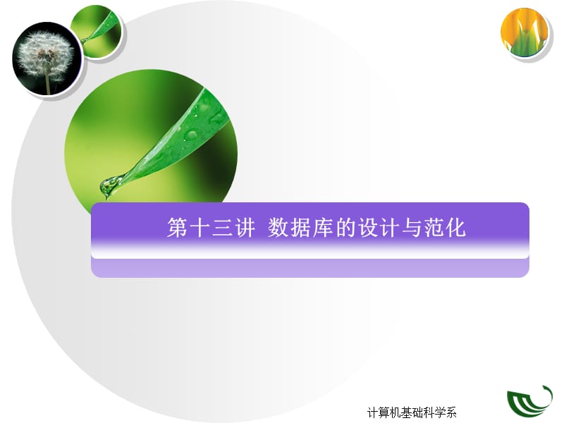 数据库的设计与范化.ppt_第2页