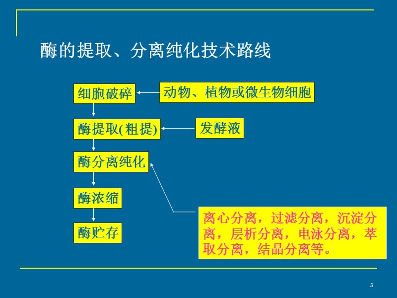 酶的提取与分离纯化ppt课件_第3页