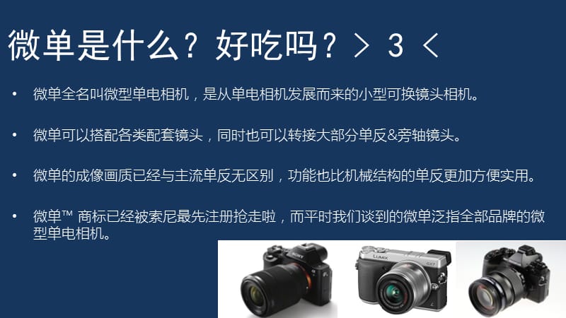 摄影大学堂-微单选购篇.ppt_第2页