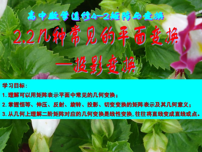 常見(jiàn)的幾種平面變換投影變換.ppt_第1頁(yè)